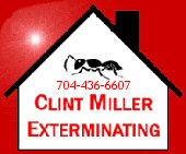 Visit our website for more information on all your Pest Control needs.